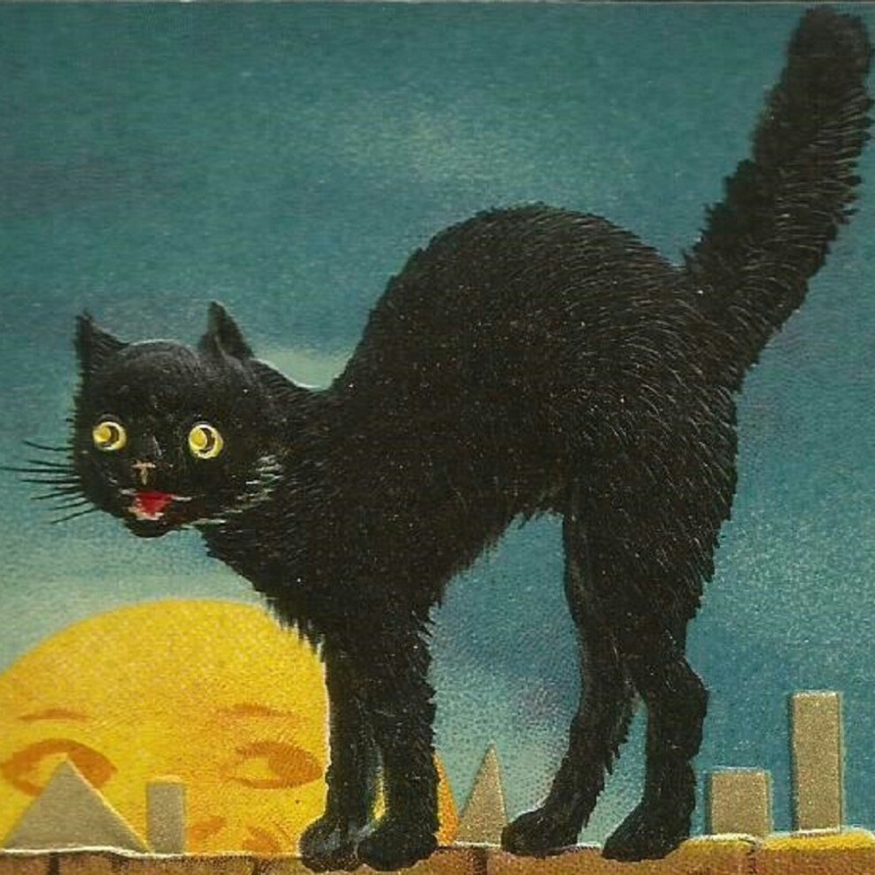 Fraidy Cats (1994)