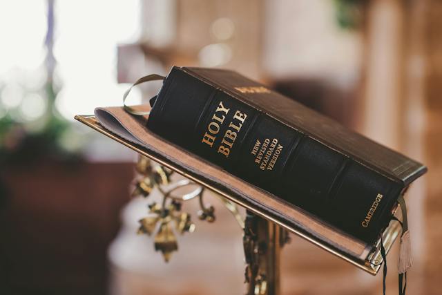 Printable Bible Activities – FREE