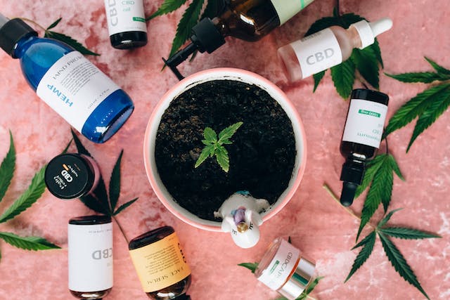 5 Reasons you Should Buy CBD Products on Cyber Monday