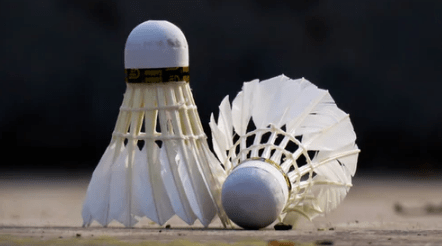 Different types of badminton